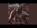 Gorging On The Rotted Flesh