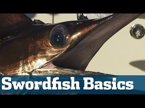 Catch Swordfish - Florida Sport Fishing TV - Step By Step Setting A Bait