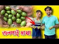 Jalpai Makha . Jalpai Achar . Village vloge . Palash Sarkar vlog . Bangla vlog 2022