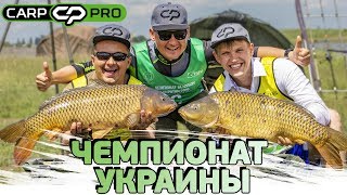 Чемпионат по карповой ловле харьков