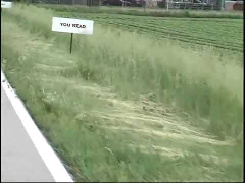 Tent of Many Voices: 05220401F