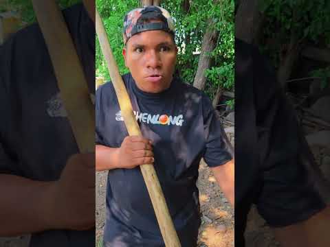 En busca de un tesoro 🪎 #humor #comedia #funny