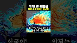 우리나라 태풍은 애교 수준이라는 동남아
