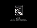 MESH - I don't think they know ["In This Place Forever" - 1996]
