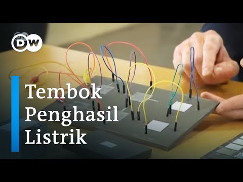 Instruksi patogen kuda bagi manusia Bagaimana membangkitkan Wanita contoh
