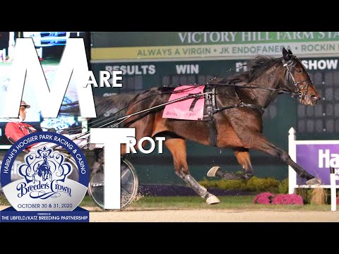 2020 Breeders Crown - Manchego - Mare Trot