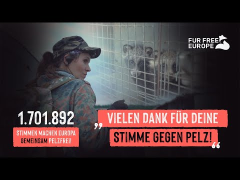 Mission Pelz: Rückblick