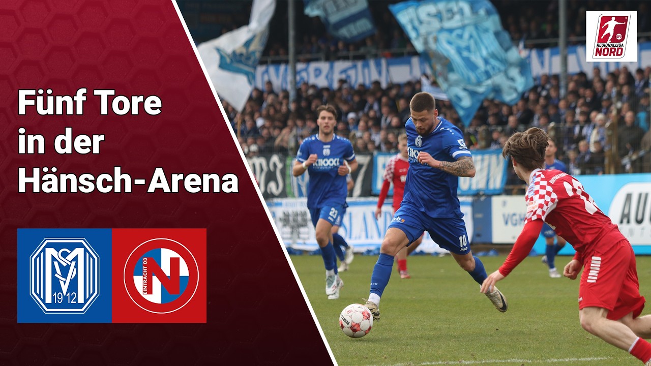 SV Meppen vs Eintracht Norderstedt Highlights