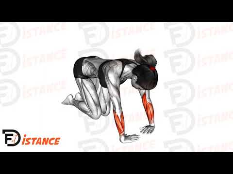 Étirement des fléchisseurs et déviateurs ulnaires du poignet - Exercice Étirement des fléchisseurs et déviateurs ulnaires du poignet en vidéo