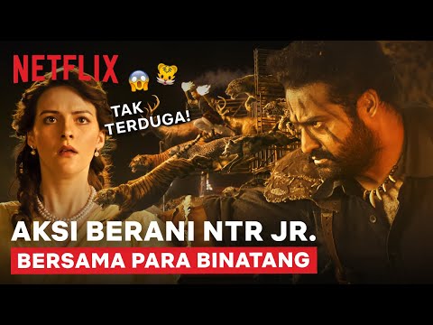 EPIC! NTR Jr. & Para Binatang Nyerang Markas Musuh | RRR | Clip