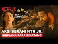 EPIC NTR Jr Para Binatang Nyerang Markas Musuh RRR Clip