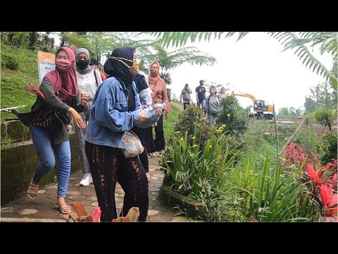bushman-prank-auto-njondil-prank-manusia-pohon