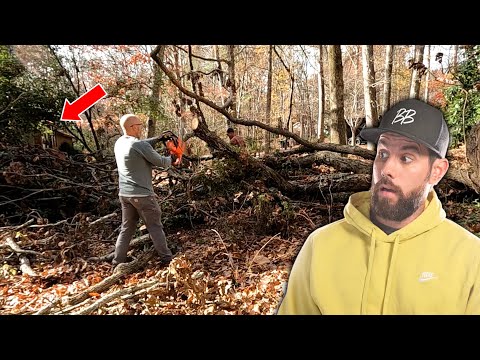 Massive TREE leaves ELDERLY woman's YARD a DISASTER - Let's Clean it up for FREE!