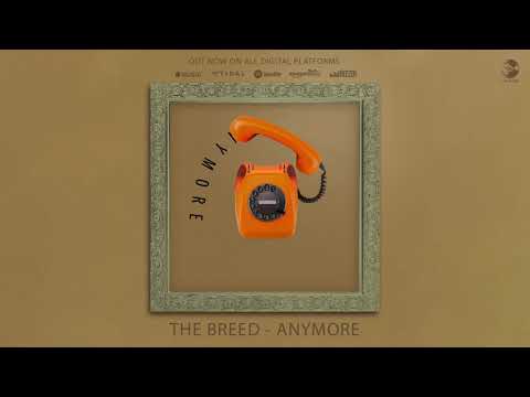 Video thumbnail for November - Anymore