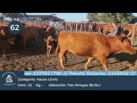 Lote VQ CC - Tres Arroyos Bs As