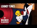 Looney Tunes Sylvester Tweety Mega Compilation Vol 6 Warner Classics