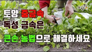 농약보다 위험한 토양 중금속 독성 금속 큰손으로 해결하세요