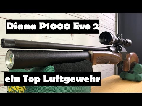 airghandi: Test + Video: Pressluftgewehr DIANA P1000 Evo2 von German Sport Guns im AirGhandi-Test