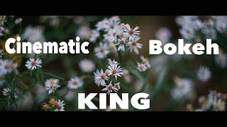 This Camera and Lens Combo Produces Cinematic Vintage Bokeh