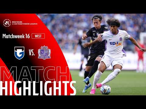bg-highlight