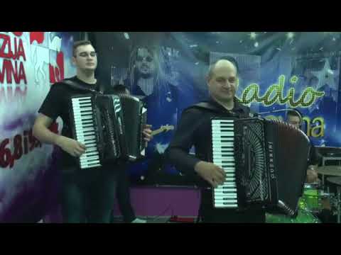 Noćne Lutalice - Djevojka je zelen bor sadila 2016