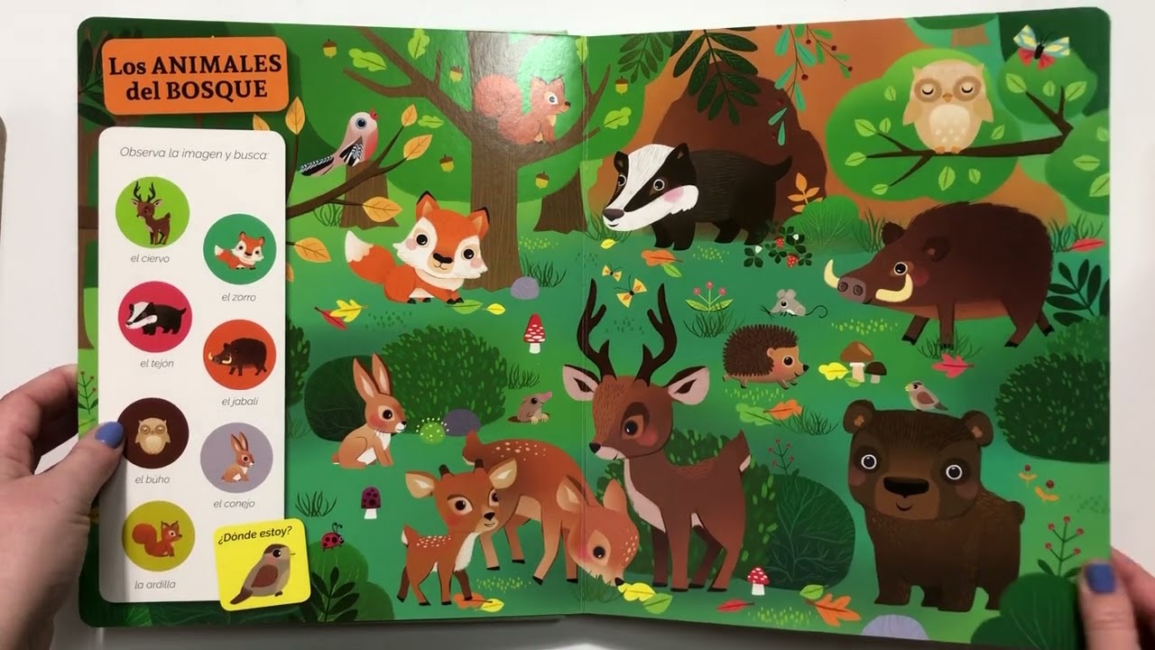 Watch Busca y encuentra para los mas pequeños Now Busca y encuentra para los mas pequeños