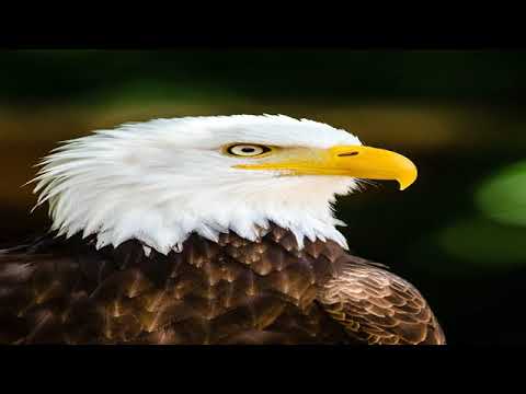 VICTOR HUGO     LWA DA CHOUDELLE