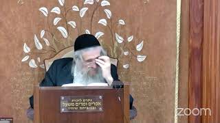 הרה"ג הרב וועכטר שליט"א י"ז אלול תשפ"ד  - ליקוטי שיחות ד׳ - ח"י אלול - חלק ב׳ (הרב אברהם מנחם מענדל וכטר) - התמונה מוצגת ישירות מתוך אתר האינטרנט יוטיוב. זכויות היוצרים בתמונה שייכות ליוצרה. קישור קרדיט למקור התוכן נמצא בתוך דף הסרטון