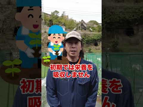 堆肥に肥料を入れてもいいですか？何のために ？避けるべき間違いは何ですか?  庭園