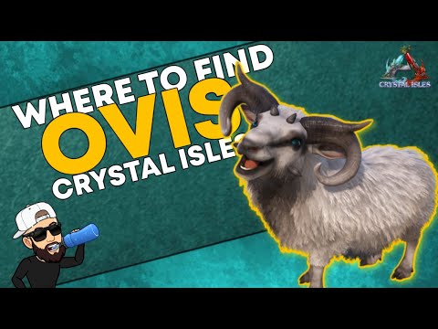 Ark Crystal Isles | BEST Location to find an Ovis FAST [How to Tame]