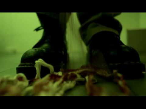 Goodby Turtles trailer thumbnail