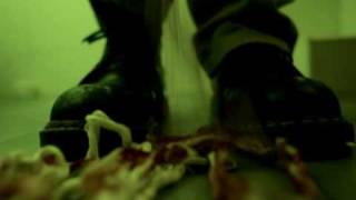 GOODBYE TURTLES teaser