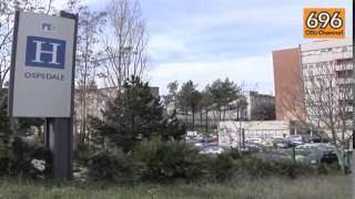 mucca-pazza-caso-sospetto-a-benevento