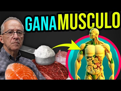 💪 CREATINE Its BENEFITS AND How Much TO SUPPLEMENT - Oswaldo Restrepo RSC