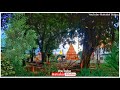 Ujjain Mahakal Status Mahakal Status Mahakal Video Ujjain Mahakal Ujjainmahakal Mahakal