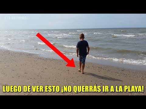 Después de ver este vídeo, ¡ya no querrás caminar "DESCALZO" por la playa! Video