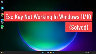 Esc Key Not Working In Windows 11/10 (Solved)