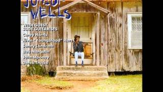 Junior Wells - Trust My Baby