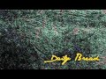 Hassaan Mackey & Apollo Brown - Something ...