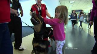 LAX Therapy Dog Program on Rock Center with Brian Williams