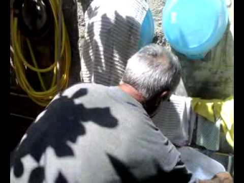 Formaggio con i vermi. Grazie al mitico zio Paolo