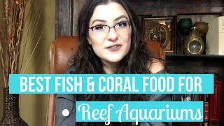 BEST FISH AND CORAL FOOD FOR A REEF AQUARIUM