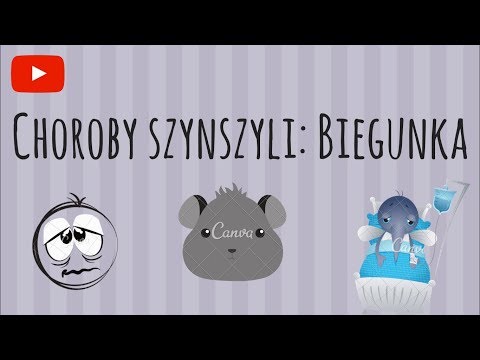 4 gyógynövény a parazitákból