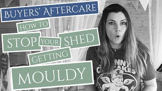 How to Stop Your Shed Getting Mouldy