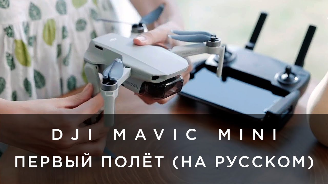 Квадрокоптер DJI Mavic Mini