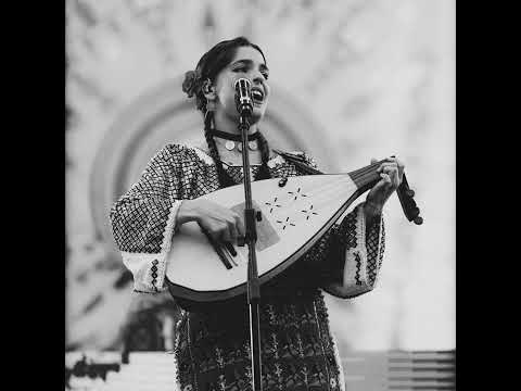 Maria Chivu - Am pus șaua sus pe cal (din repertoriul lui Liviu Vasilică)