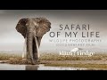 Safari Of My Life Wildlife Photography Documentary With Klaus Tiedge