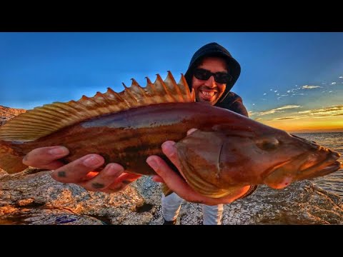 Shore Jigging Fishing - Ios, Greece