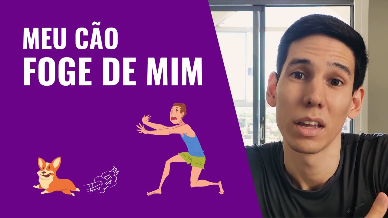 Saiba porquê seu cachorro FICA FUGINDO DE VOCÊ