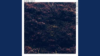 Download lagu Something Real mp3 Download lagu Something Real mp3